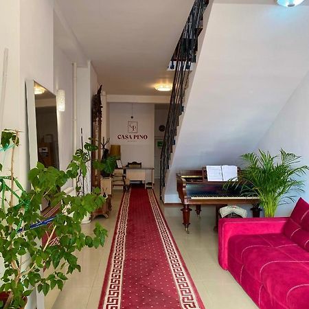 Hotel Casa Pino Braszów Zewnętrze zdjęcie