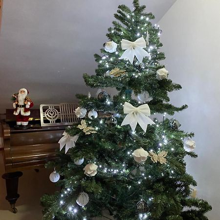 Hotel Casa Pino Braszów Zewnętrze zdjęcie